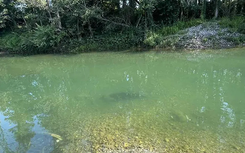 Pronađeno i deseto tijelo u rijeci Drini