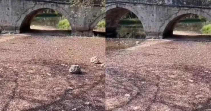 Novi snimak s Vrela Bosne