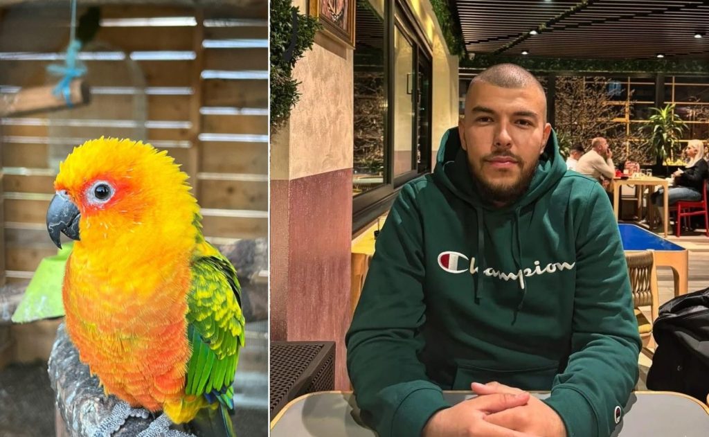 ZOO “Bambi” u Hrasnici: Mladić pružio dom za 150 povrijeđenih životinja