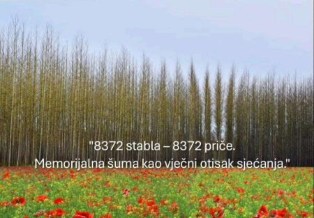 U Sarajevu će biti zasađeno 8.372 stabla, u znak sjećanja na žrtve Srebrenice