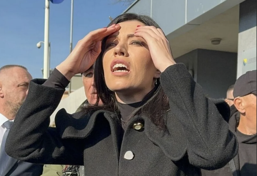 Čudo bi bilo da nije progovorila: Vulić opet "osula paljbu" po Sudu BiH, ovaj put ne zbog Dodika