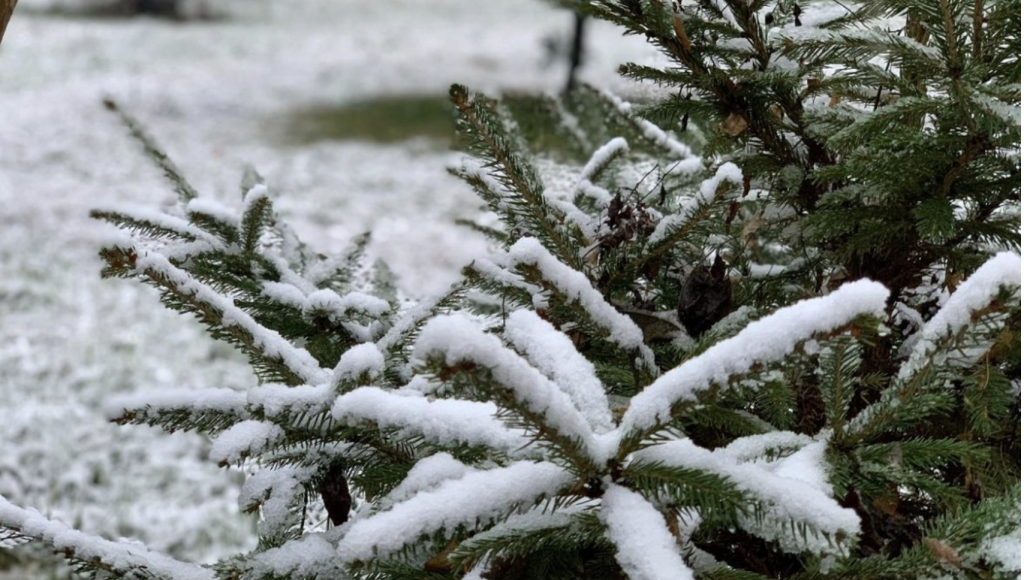 Danas do +16: Pogledajte kad stiže zahlađenje, kakve temperature donosi i hoće li biti snijega