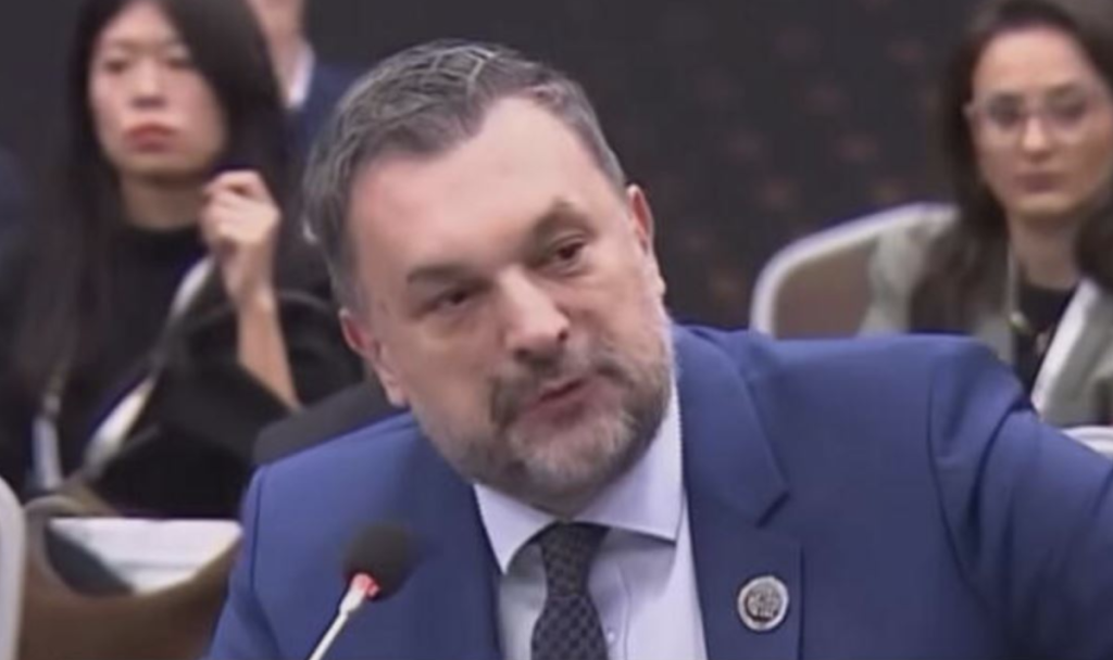 Ministar Konaković na panelu žestoko prozvao Srbiju: Ovo nije poštovanje, ovo je prijetnja!