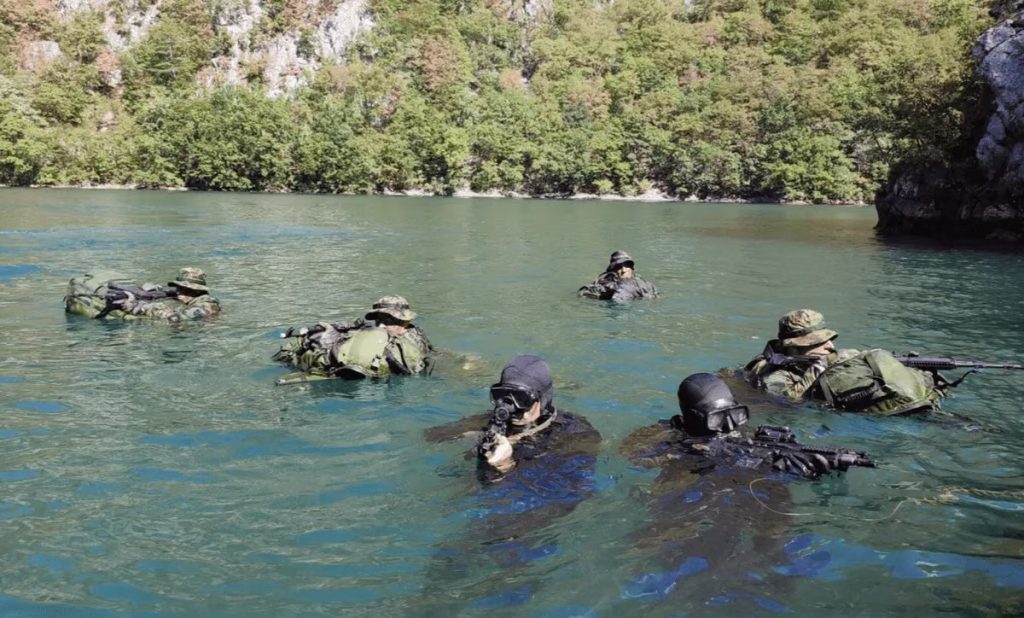 Jesu li institucije BiH bile upoznate? Vojska Srbije tri dana vježbala uz Drinu i bh. granicu